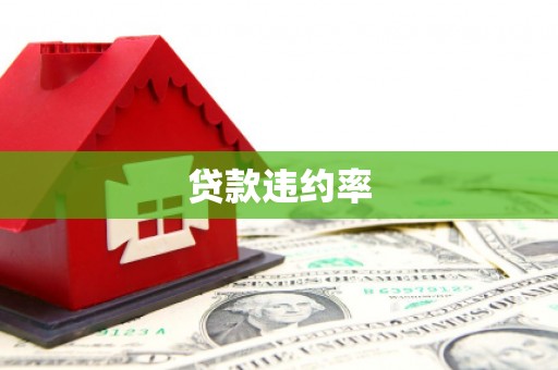 浠水贷款违约率
