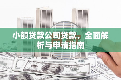 浠水小额贷款公司贷款，全面解析与申请指南