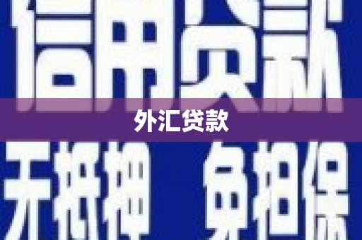 浠水外汇贷款