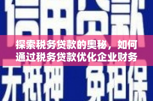 浠水探索税务贷款的奥秘，如何通过税务贷款优化企业财务