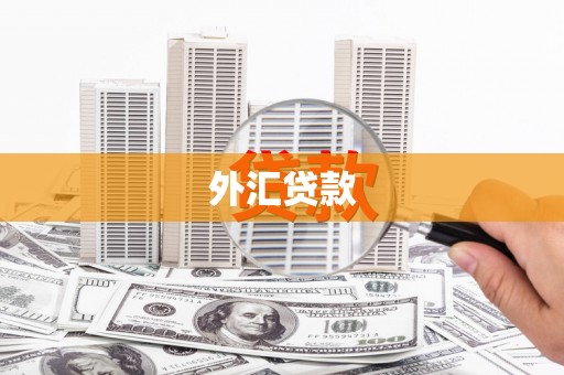 浠水外汇贷款