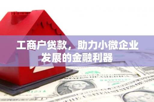 浠水工商户贷款，助力小微企业发展的金融利器