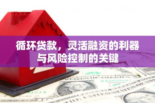 浠水循环贷款，灵活融资的利器与风险控制的关键