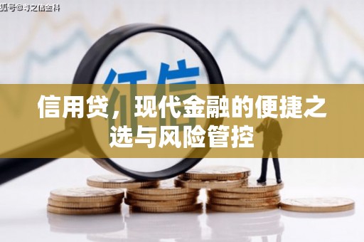 浠水信用贷，现代金融的便捷之选与风险管控