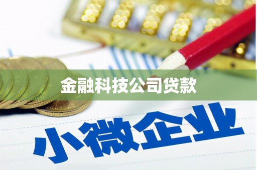 浠水金融科技公司贷款