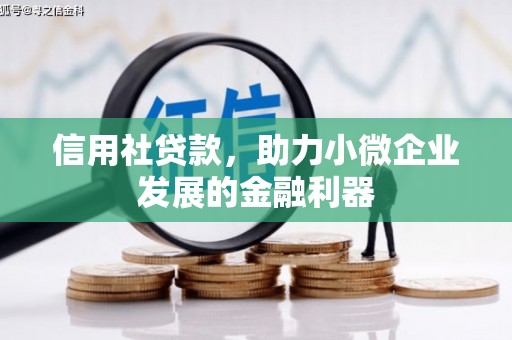 浠水信用社贷款，助力小微企业发展的金融利器
