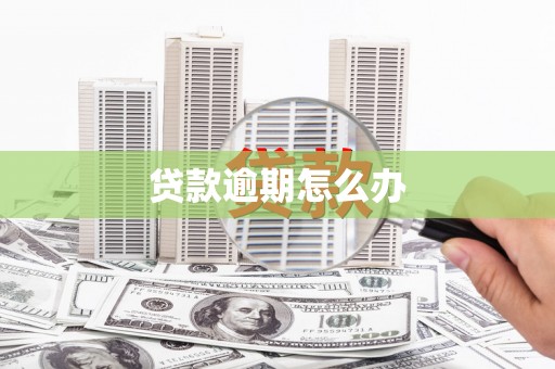 浠水贷款逾期怎么办