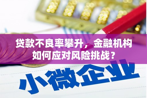 浠水贷款不良率攀升，金融机构如何应对风险挑战？