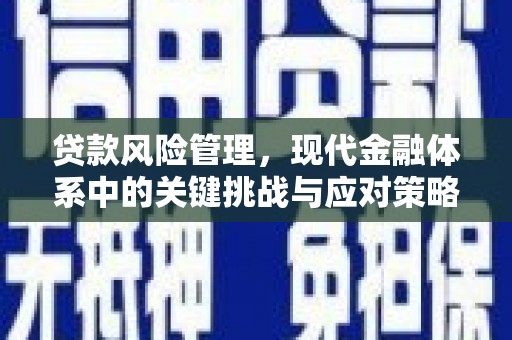 浠水贷款风险管理，现代金融体系中的关键挑战与应对策略