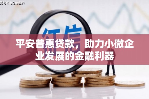浠水平安普惠贷款，助力小微企业发展的金融利器