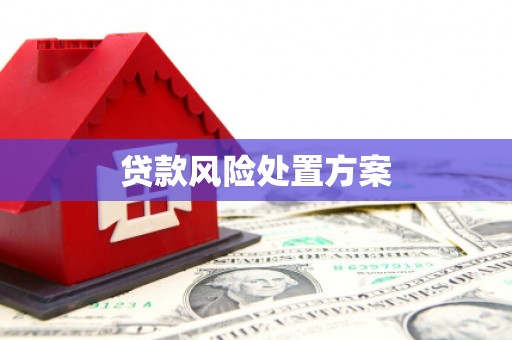 浠水贷款风险处置方案