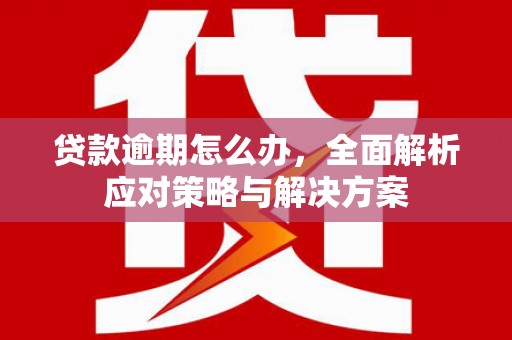 浠水贷款逾期怎么办，全面解析应对策略与解决方案